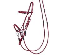 Licol éthologique multifonctionnel QHP - bordeaux - Shetland