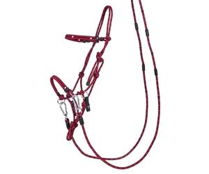 Licol éthologique multifonctionnel QHP Rouge Poney