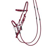 Licol Éthologique Multifonctionnel Qhp Shetland Mixte Rouge