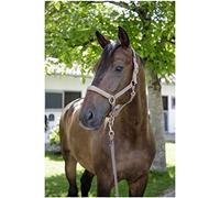 Licol F/S 2021 rose, COB