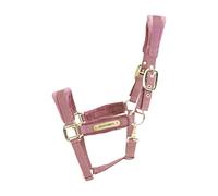 Licol FULL - Vieux rose - Velours