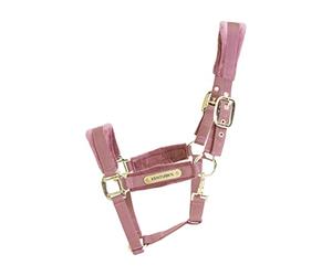 Licol FULL - Vieux rose - Velours