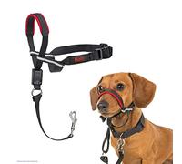 Licol HALTI Optifit, Taille S, Pour que votre chien arrête de tirer sur sa laisse, Facile à enfiler, Partie entièrement matelassée sur le museau, Réglable, Colliers anti-traction pour petits chiens
