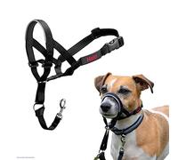 Halti Licol, Anti-Traction Dressage pour Chien