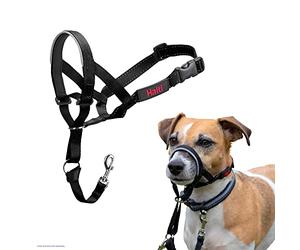 Licol Halti pour Chiens | Taille 1, Noir | Pour que votre chien arrête de tirer sur sa laisse, Muserolle Matelassée, Colliers anti-traction pour petits chiens