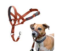 Licol HALTI - pour Que Votre Chien arrête de Tirer sur sa Laisse, Facile à Enfiler, Partie entièrement matelassée sur Le museau, Colliers Anti-Traction pour Petits Chiens (Taille 1, Orange Brûlé)