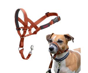 Licol Halti pour Chiens | Taille 1, Orange Brûlé | Pour que votre chien arrête de tirer sur sa laisse, Muserolle Matelassée, Colliers anti-traction pour petits chiens
