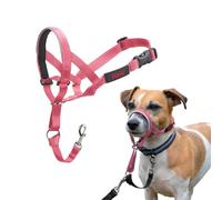 Licol HALTI pour Chiens (Taille 1, Rose)