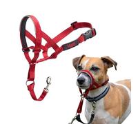 Licol HALTI, Taille 1, Rouge, Pour que votre chien arrête de tirer sur sa laisse, Facile à enfiler, Partie entièrement matelassée sur le museau, Réglable, Colliers anti-traction pour petits chiens