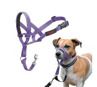 Licol HALTI pour Chiens (Taille 1, Violet)