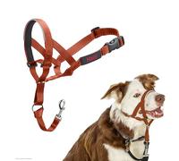 Licol HALTI - pour Que Votre Chien arrête de Tirer sur sa Laisse, Partie entièrement matelassée sur Le museau, Colliers Anti-Traction pour Chiens de Taille Moyenne (Taille 2, Orange Brûlé)