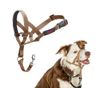 Licol Halti pour Chiens | Taille 2, Sable du Désert | Pour que votre chien arrête de tirer sur sa laisse, Rembourrée, Colliers anti-traction pour chiens de taille moyenne
