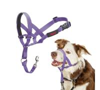 Licol HALTI pour Chiens (Taille 2, Violet)