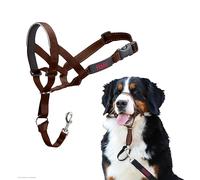 Licol Halti pour Chiens | Taille 4, Brun Noisette | Pour que votre chien arrête de tirer sur sa laisse, Muserolle Matelassée, Colliers anti-traction pour grands chiens