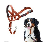 Licol Halti pour Chiens | Taille 4, Orange Brûlé | Pour que votre chien arrête de tirer sur sa laisse, Muserolle Matelassée, Colliers anti-traction pour grands chiens