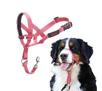 Licol HALTI pour Chiens (Taille 4, Rose)
