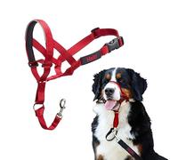 Licol Halti pour Chiens | Taille 4, Rouge | Empêche votre chien de tirer sur la laisse | Réglable, réfléchissant et léger avec muserolle rembourrée