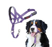 Licol HALTI pour Chiens (Taille 4, Violet)