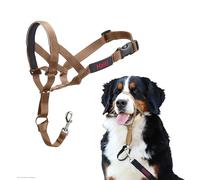 Licol HALTI - pour Que Votre Chien arrête de Tirer sur sa Laisse, Facile à Enfiler, Partie entièrement matelassée sur Le museau, Colliers Anti-Traction pour Grands Chiens (Taille 4, Sable du Désert)