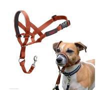 Licol HALTI - pour Que Votre Chien arrête de Tirer sur sa Laisse, Facile à Enfiler, Partie entièrement matelassée sur Le museau, Colliers Anti-Traction pour Petits Chiens (Taille 1, Orange Brûlé)