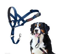 Licol HALTI - pour Que Votre Chien arrête de Tirer sur sa Laisse, Facile à Enfiler, Partie entièrement matelassée sur Le museau, Colliers Anti-Traction pour Grands Chiens (Taille 4, Bleu Cobalt)