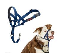 Licol HALTI - pour Que Votre Chien arrête de Tirer sur sa Laisse, Partie entièrement matelassée sur Le museau, Colliers Anti-Traction pour Chiens de Taille Moyenne (Taille 2, Bleu Cobalt)