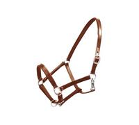 vidaXL Licol en cuir réglable pour cheval – Boucle tête