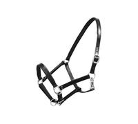 Licol Licou en cuir réglable pour écurie Cheval Noir