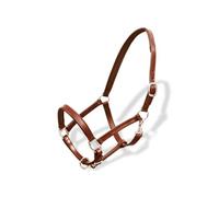 vidaXL Licol Licou en Cuir réglable pour écurie Poney Marron Licou pour Cheval