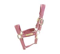 Licol MINI SHETTY - Vieux rose - Velours