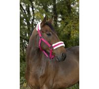 Licol Norton "Confort" Framboise Taille Poney, Équitation