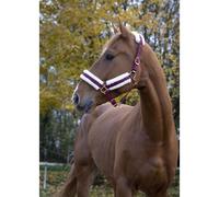 Licol Norton Confort Taille Shetland Bordeaux
