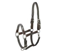 Licol nylon-cuir pour cheval Schockemöehle Memphis Safety Gris Poney