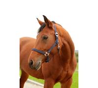 Licol nylon foal Kerbl hippo Gris Foal