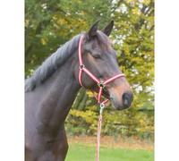 Licol nylon full Kerbl hippo Rouge Full