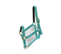 Générique Licol Nylon doublé Cuir - Couleurs - Turquoise, Taille Equipement Cheval - Cheval