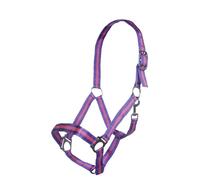 Licol nylon pour cheval HKM Budapest Violet Poney