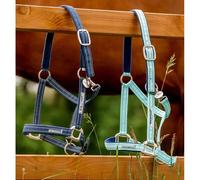 Licol nylon pour cheval Horseware Field Safe Bleu Cheval