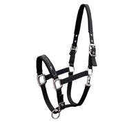 Licol nylon pour cheval Schockemöehle Memphis Noir Cob