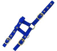 Licol nylon réglable "Mini" - bleu roi - mini foal