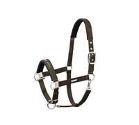 Licol PIN BUCKLE CORE