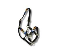 Licol Polo en Cuir de Luxe pour Chevaux - Double Réglable & Souplement Souplé - Design Unique Fait Main - 11 Couleurs - Cob & Full - MTB Equestrian (Or-Blanc-Bleu, Cob)