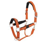 Licol polypropylène BR Equitation Kimberly Orange Poney