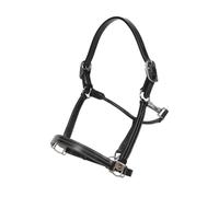 Licol PONY - Noir - Cuir de buffle