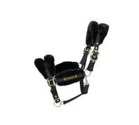 Licol PONY - Noir - Laine vegan