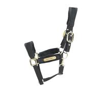 Licol PONY - Noir - Velours