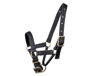 Licol pour alpaga Waldhausen Noir L