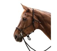 Licol pour cheval à nœuds avec rênes Waldhausen Noir Full