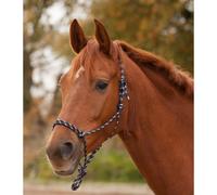 Licol pour cheval à nœuds Waldhausen Bleu Full