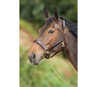 Licol pour cheval anatomique cuir HFI Noir Poney